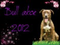Bull akce 2012